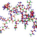 sự khác biệt protein và peptide