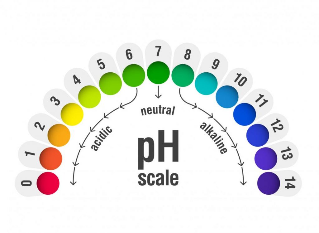 cân bằng ph âm đạo