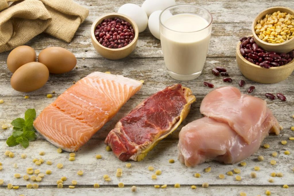 Sự khác nhau giữa protein động vật và thực vật