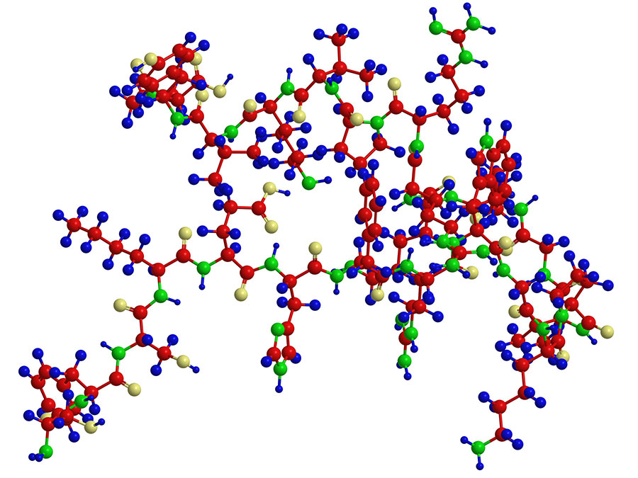 sự khác biệt protein và peptide